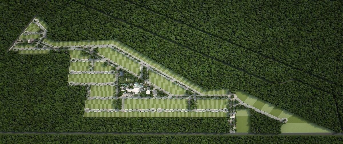 Foto de terreno habitacional en venta en  , dzibilchaltún, mérida, yucatán, 0 No. 03