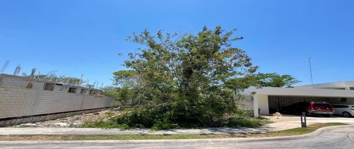 Foto de terreno habitacional en , dzibilchaltún, mérida, yucatán, 29767734 foto 01 Foto de terreno habitacional en venta en , dzibilchaltún, mérida, yucatán, 29767734 No. 01