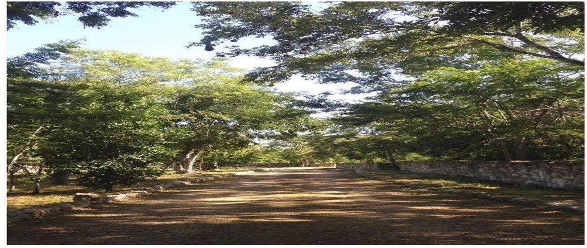 Foto de terreno habitacional en venta en  , dzibilchaltún, mérida, yucatán, 0 No. 03