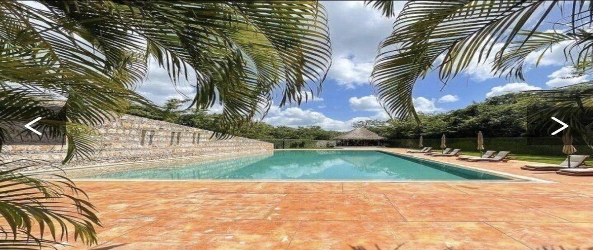 Foto de terreno habitacional en venta en  , dzibilchaltún, mérida, yucatán, 0 No. 04