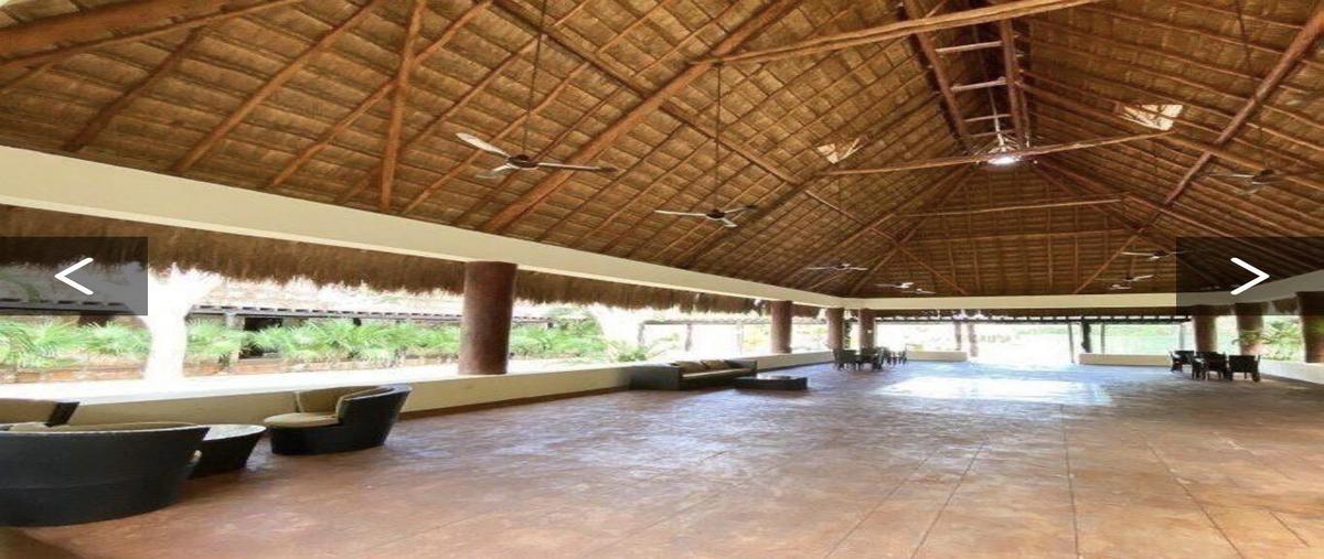 Foto de terreno habitacional en venta en  , dzibilchaltún, mérida, yucatán, 0 No. 05