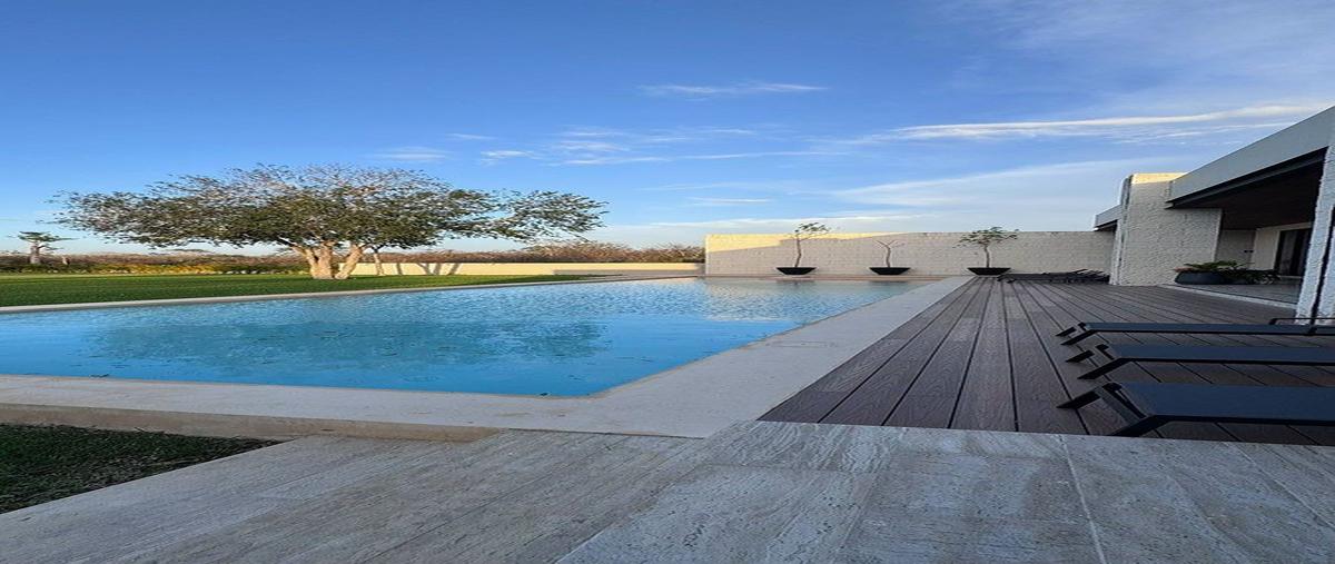 Foto de terreno habitacional en venta en  , dzibilchaltún, mérida, yucatán, 30894752 No. 15