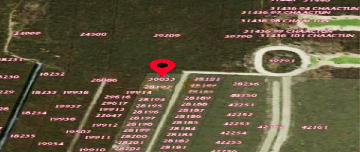 Foto de terreno habitacional en venta en  , dzibilchaltún, mérida, yucatán, 0 No. 03