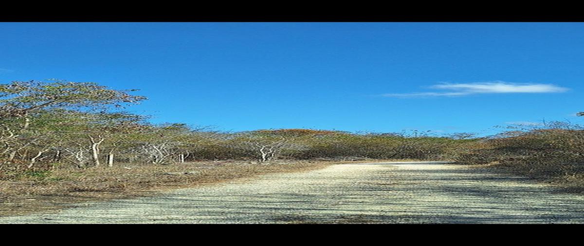 Foto de terreno habitacional en venta en  , dzibilchaltún, mérida, yucatán, 0 No. 05