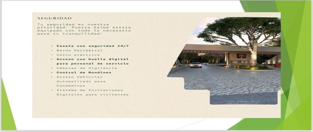 Foto de terreno habitacional en venta en  , dzibilchaltún, mérida, yucatán, 0 No. 04