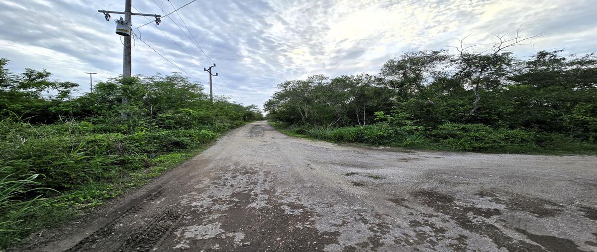 Foto de terreno habitacional en venta en  , dzibilchaltún, mérida, yucatán, 0 No. 03