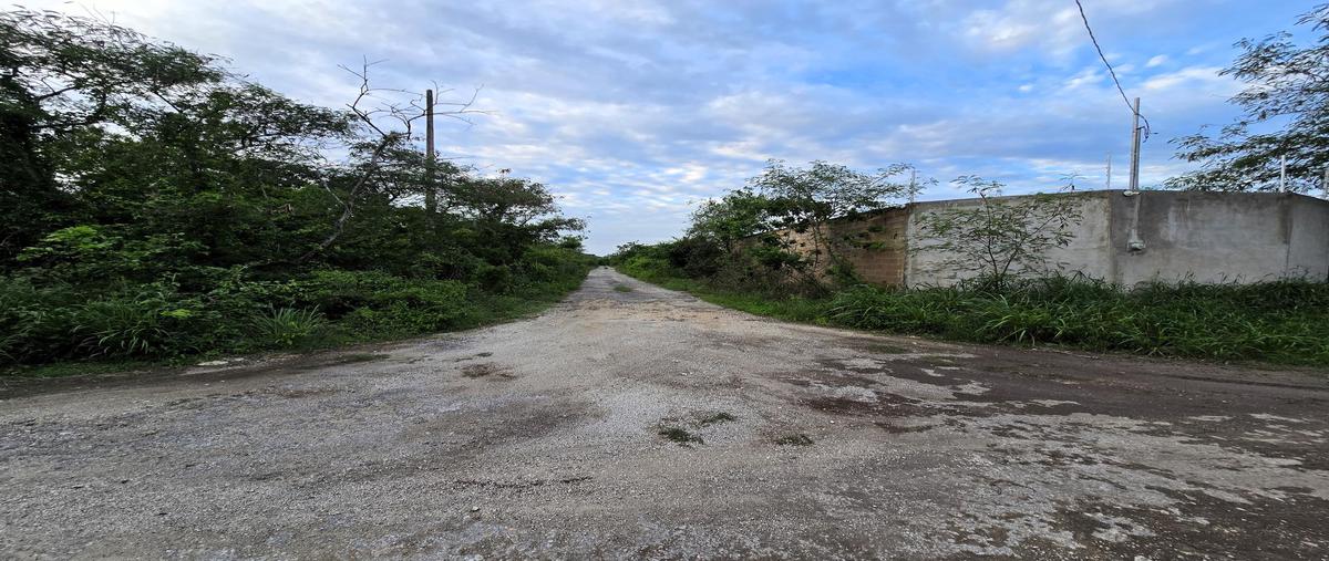 Foto de terreno habitacional en venta en  , dzibilchaltún, mérida, yucatán, 0 No. 04