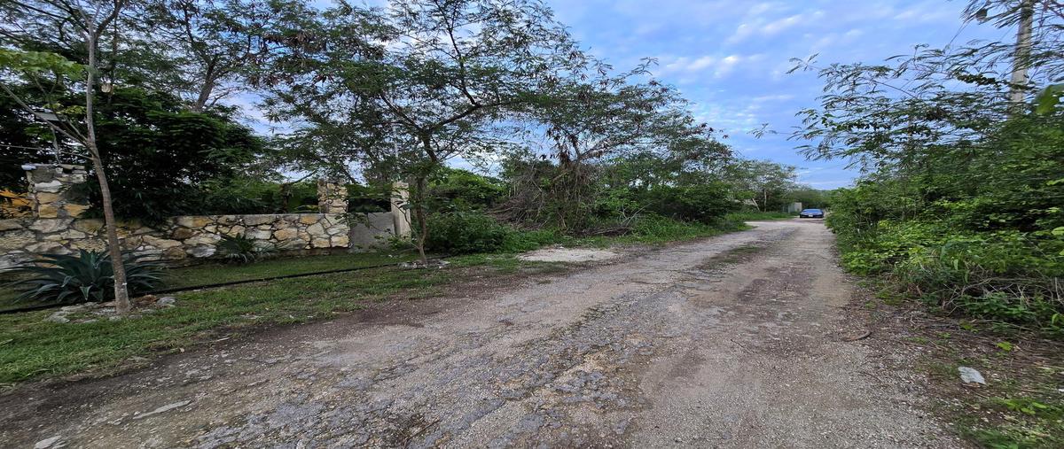 Foto de terreno habitacional en venta en  , dzibilchaltún, mérida, yucatán, 0 No. 05