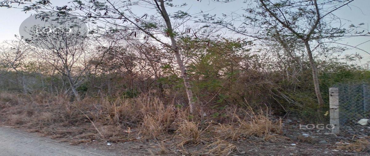 Foto de terreno habitacional en venta en  , dzibilchaltún, mérida, yucatán, 0 No. 04