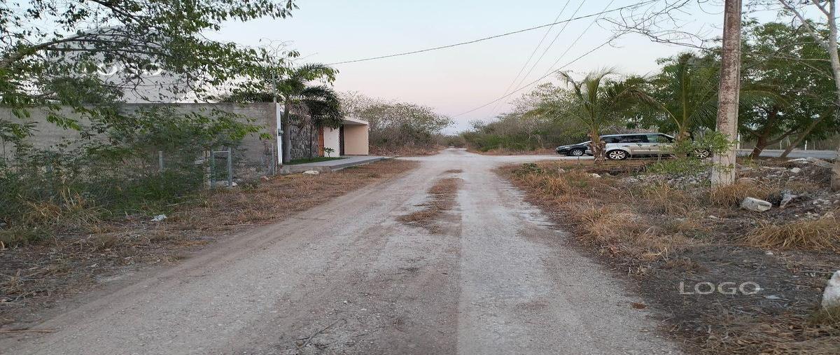 Foto de terreno habitacional en venta en  , dzibilchaltún, mérida, yucatán, 0 No. 05