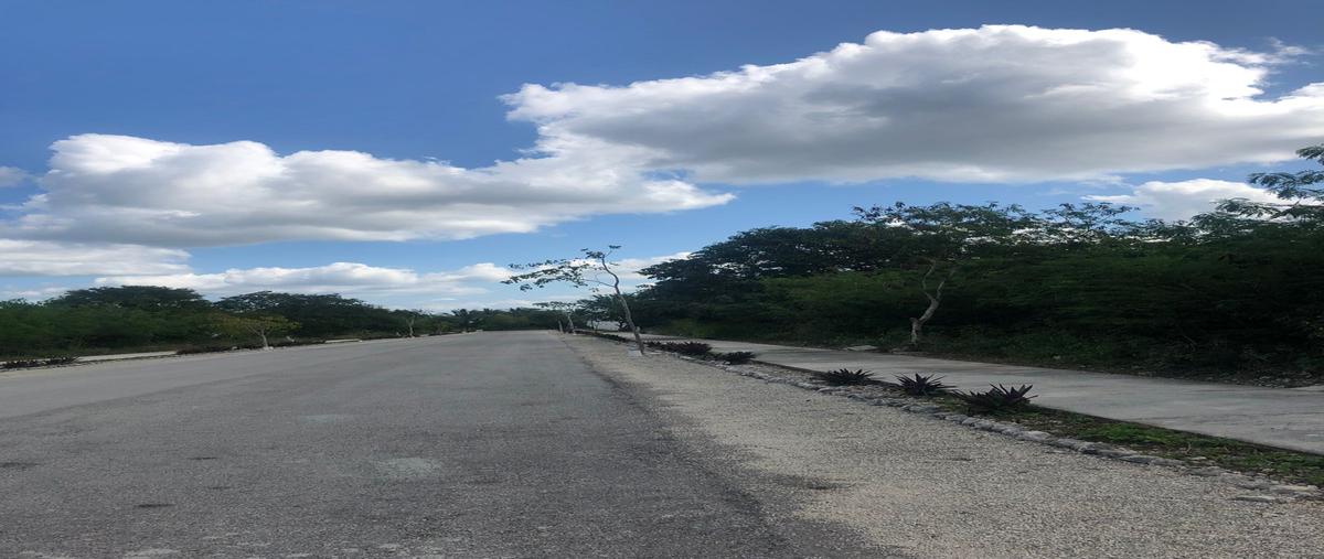 Foto de terreno habitacional en venta en dzidizl-ha parque residencial , dzidzilché, mérida, yucatán, 27534202 No. 04