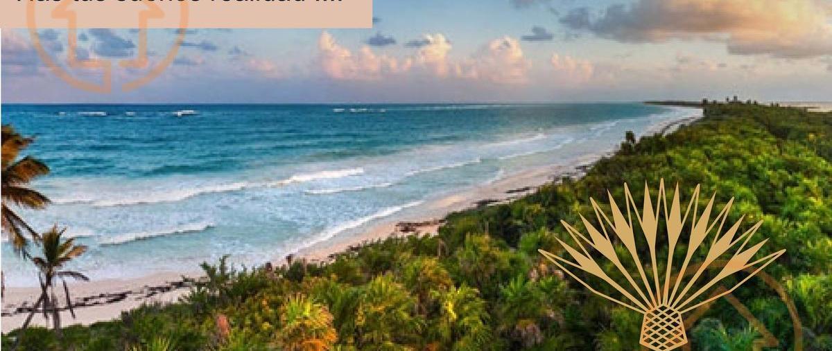 Foto de terreno habitacional en venta en  , dzidzantun, dzidzantún, yucatán, 0 No. 01