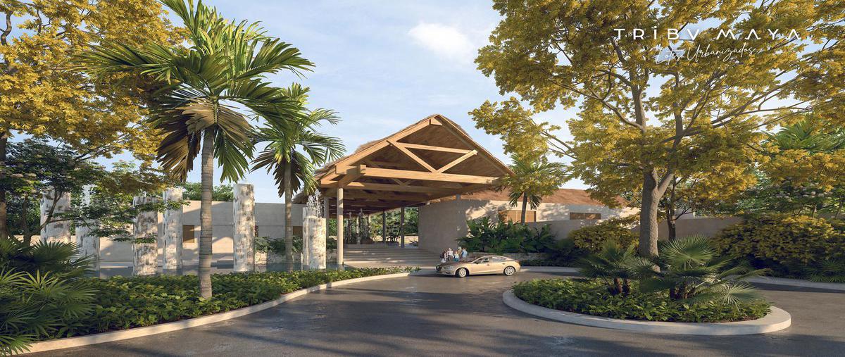 Foto de terreno habitacional en venta en  , dzidzantun, dzidzantún, yucatán, 0 No. 05