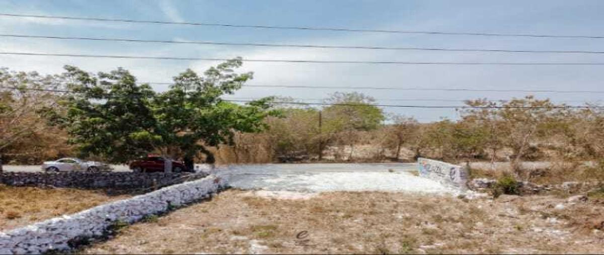 Foto de terreno habitacional en venta en  , dzidzantun, dzidzantún, yucatán, 26484527 No. 04