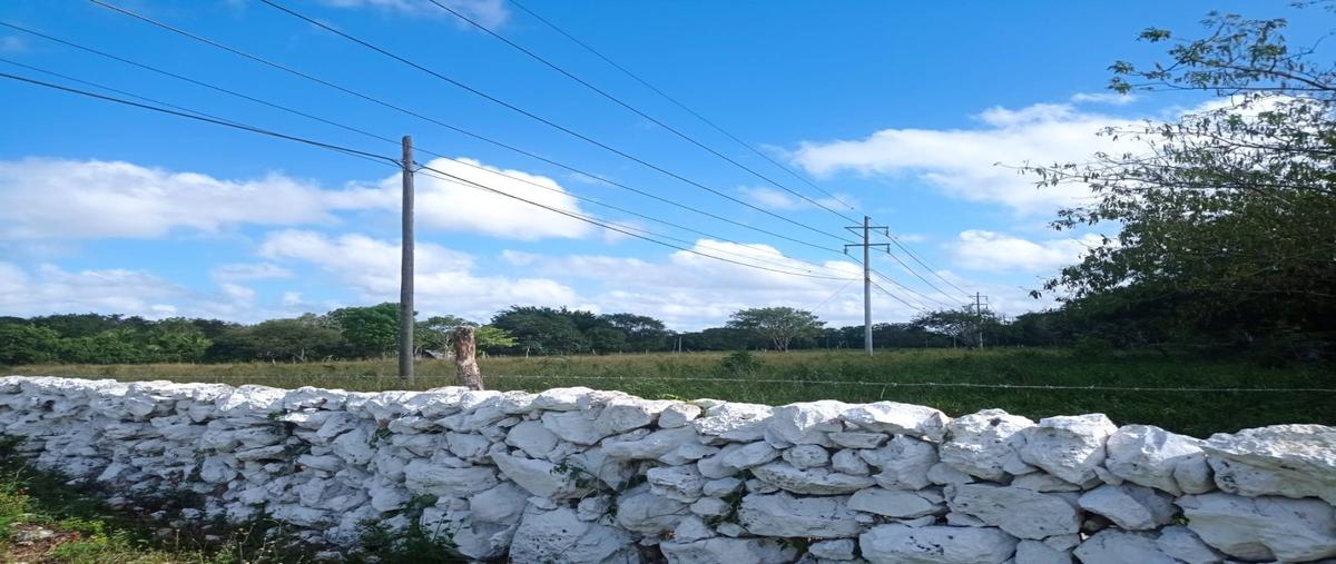 Foto de terreno habitacional en venta en  , dzidzantun, dzidzantún, yucatán, 26484527 No. 05
