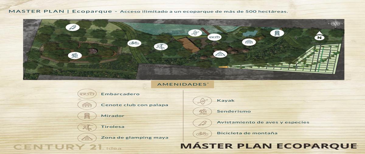 Foto de terreno habitacional en venta en  , dzidzantun, dzidzantún, yucatán, 26577828 No. 05