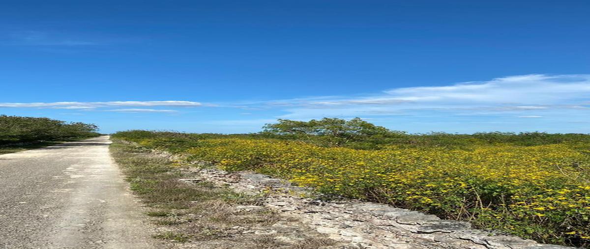 Foto de terreno habitacional en venta en  , dzidzantun, dzidzantún, yucatán, 0 No. 03