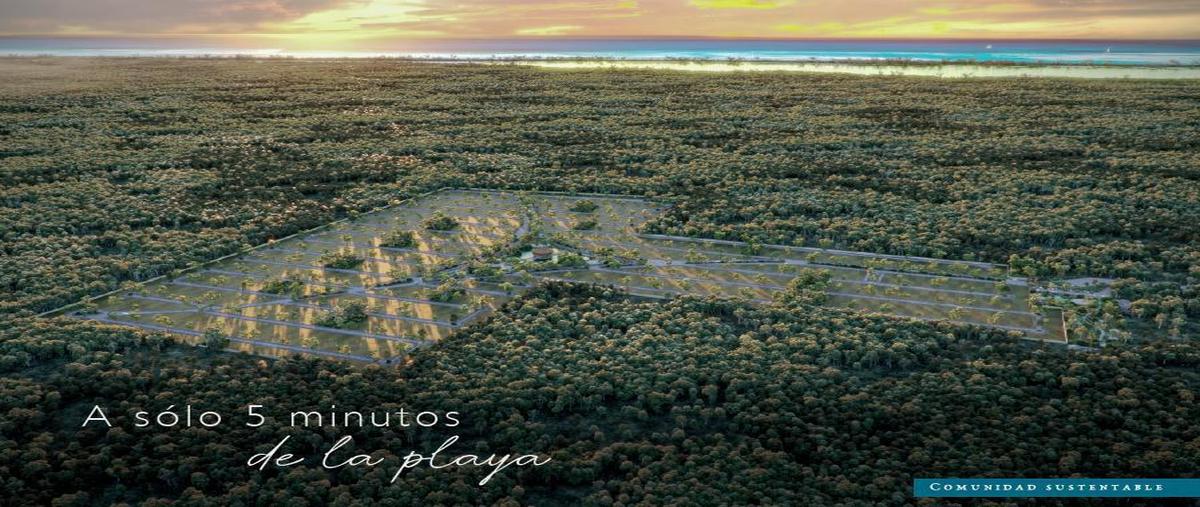 Foto de terreno habitacional en venta en  , dzidzantun, dzidzantún, yucatán, 0 No. 03