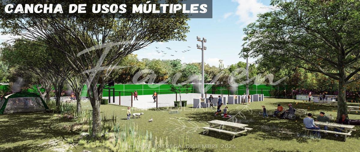 Foto de terreno habitacional en venta en  , dzidzantun, dzidzantún, yucatán, 0 No. 04