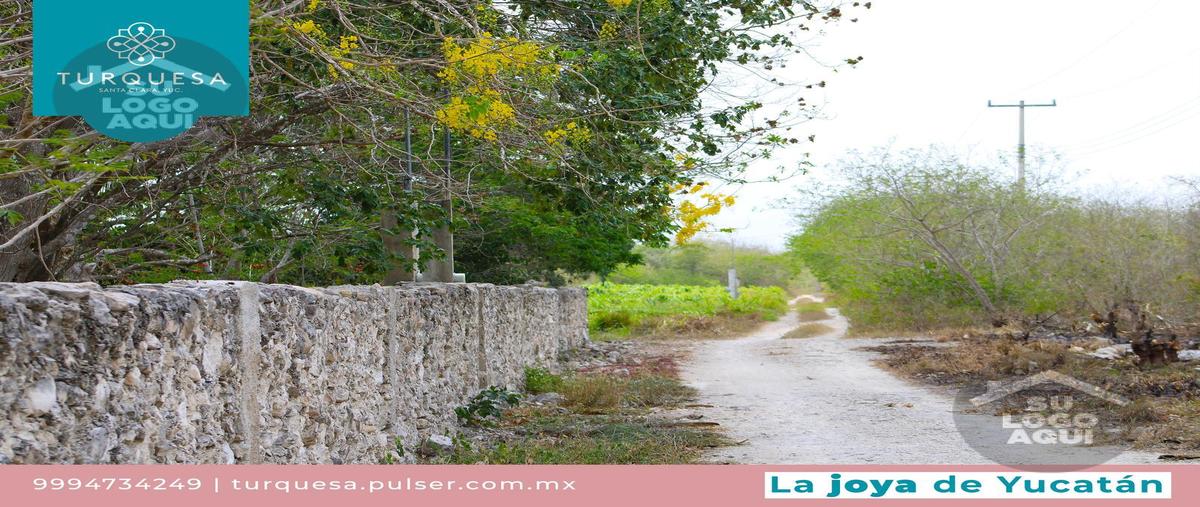 Foto de terreno habitacional en venta en  , dzidzantun, dzidzantún, yucatán, 29335734 No. 03