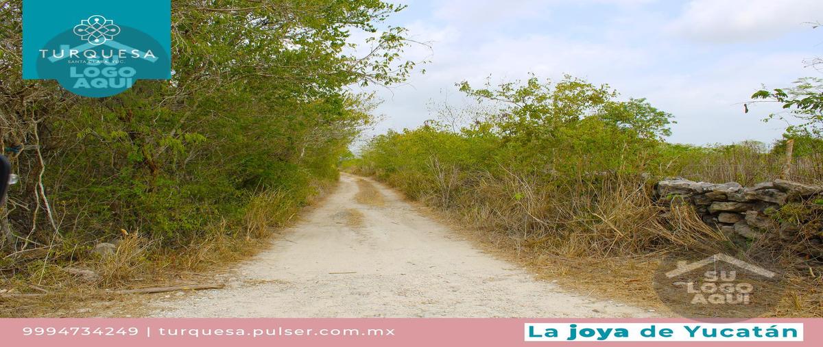 Foto de terreno habitacional en venta en  , dzidzantun, dzidzantún, yucatán, 29335734 No. 04