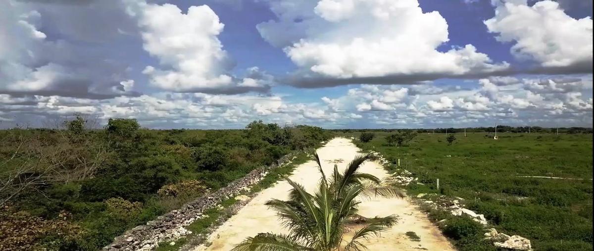 Foto de terreno habitacional en venta en  , dzidzantun, dzidzantún, yucatán, 0 No. 03