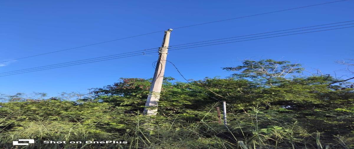 Foto de terreno habitacional en venta en  , dzidzantun, dzidzantún, yucatán, 0 No. 05