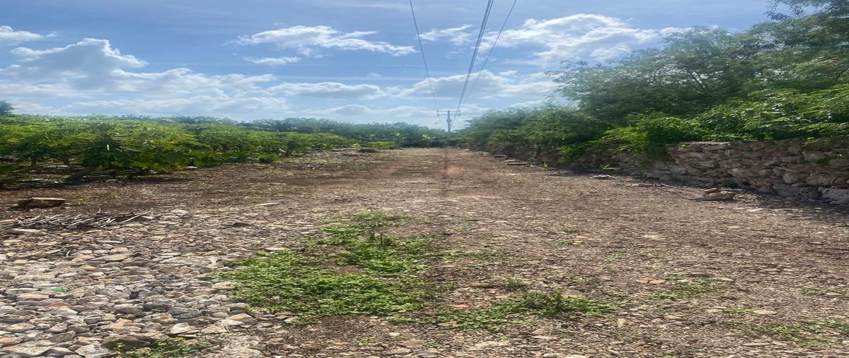 Foto de terreno habitacional en venta en  , dzidzantun, dzidzantún, yucatán, 30266143 No. 05