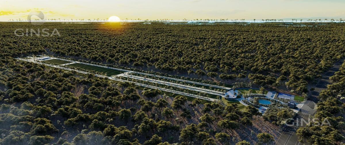 Foto de terreno habitacional en venta en  , dzidzantun, dzidzantún, yucatán, 0 No. 03