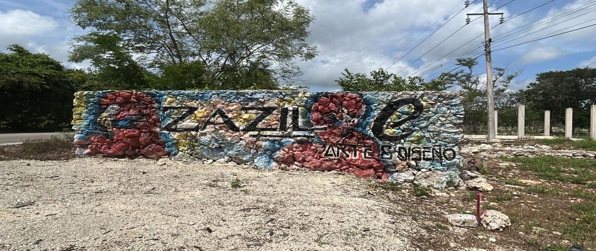 Foto de terreno habitacional en venta en  , dzidzantun, dzidzantún, yucatán, 0 No. 03