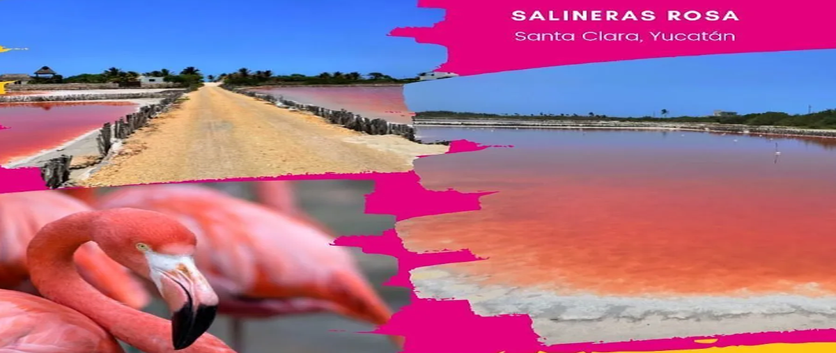 Foto de terreno habitacional en venta en * , dzidzantun, dzidzantún, yucatán, 0 No. 04