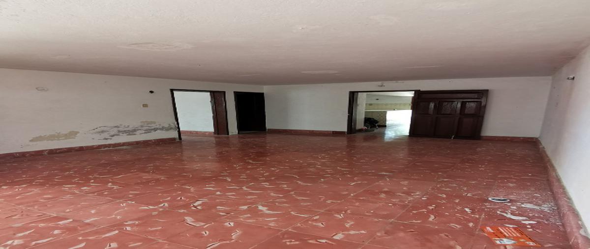 Foto de terreno habitacional en dzidzantun whi289863, dzidzantun, dzidzantún, yucatán, 25721795 foto 02 Foto de terreno habitacional en venta en dzidzantun whi289863, dzidzantun, dzidzantún, yucatán, 25721795 No. 02