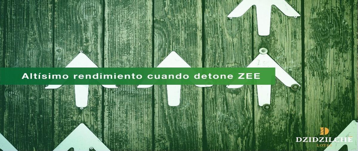 Foto de terreno habitacional en venta en  , dzidzilché, mérida, yucatán, 25429055 No. 05