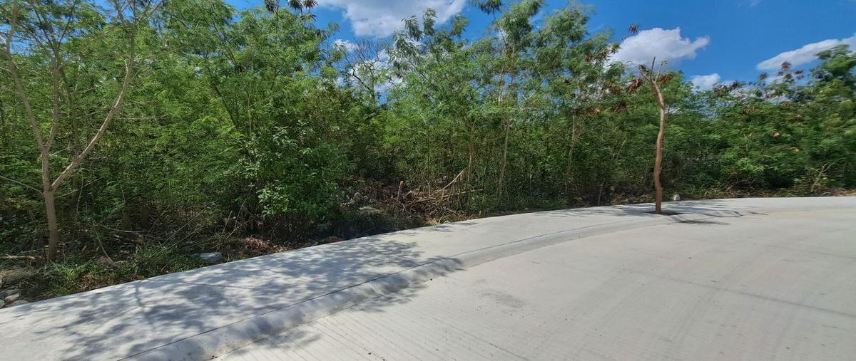 Foto de terreno habitacional en venta en  , dzidzilché, mérida, yucatán, 26270083 No. 03
