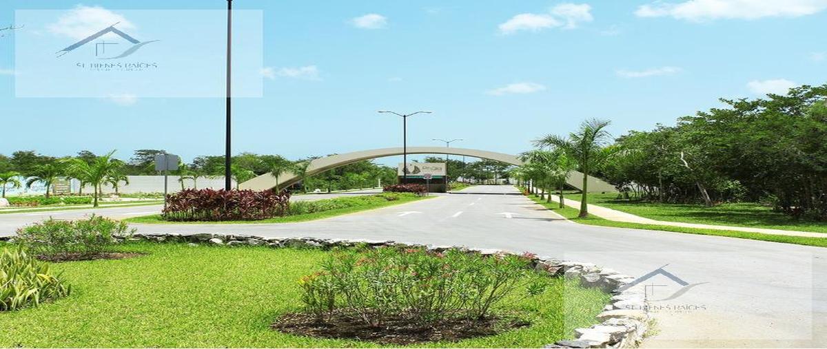 Foto de terreno habitacional en venta en  , dzidzilché, mérida, yucatán, 27251544 No. 03