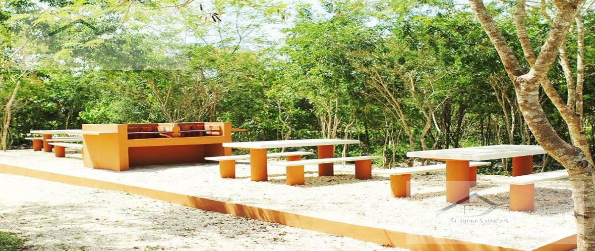 Foto de terreno habitacional en venta en  , dzidzilché, mérida, yucatán, 27251544 No. 05
