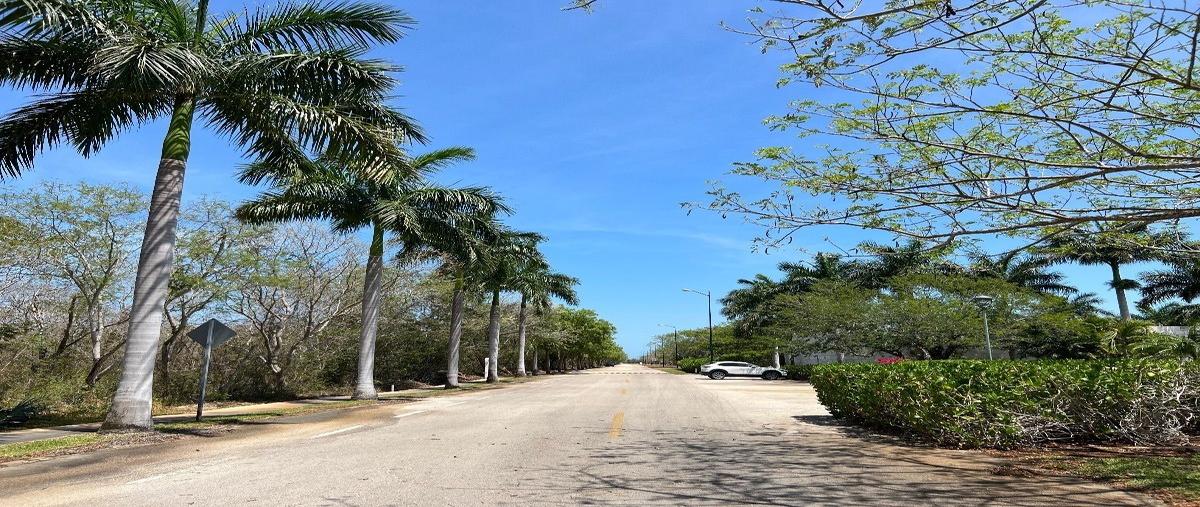 Foto de terreno habitacional en , dzidzilché, mérida, yucatán, 27843074 foto 01 Foto de terreno habitacional en venta en , dzidzilché, mérida, yucatán, 27843074 No. 01