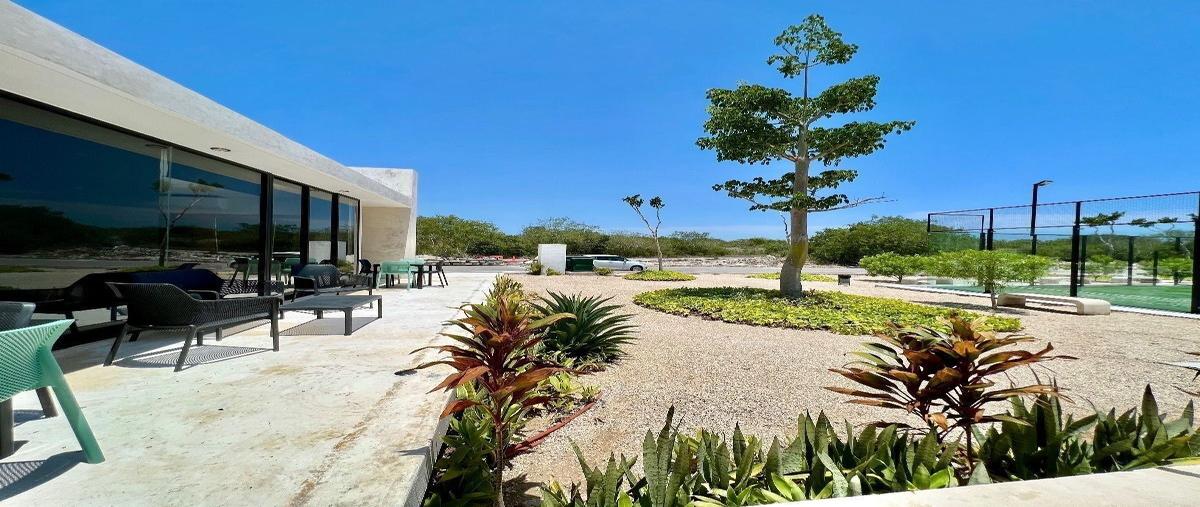 Foto de terreno habitacional en venta en  , dzidzilché, mérida, yucatán, 27843077 No. 05