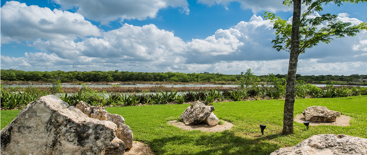 Foto de terreno habitacional en venta en  , dzidzilché, mérida, yucatán, 0 No. 03
