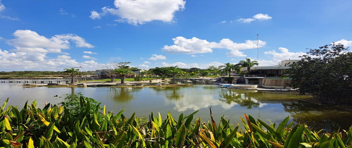 Foto de terreno habitacional en venta en  , dzidzilché, mérida, yucatán, 29435869 No. 04