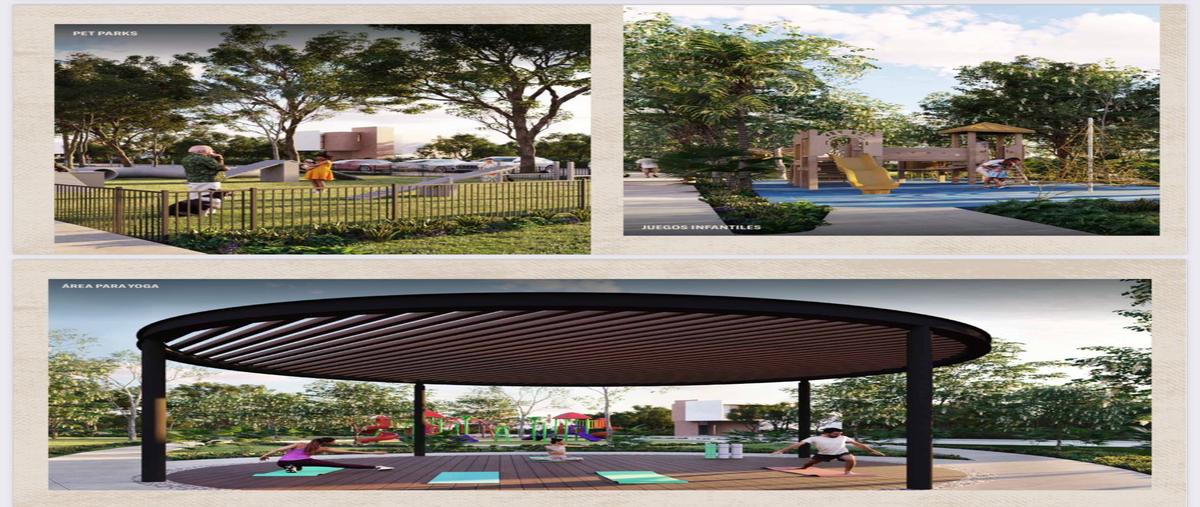 Foto de terreno habitacional en venta en  , dzidzilché, mérida, yucatán, 29487696 No. 04