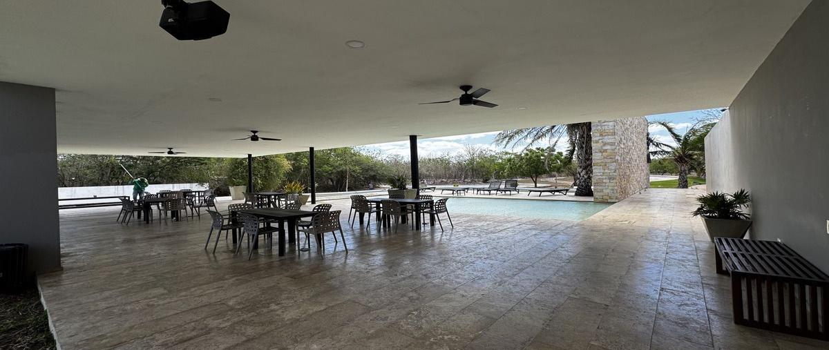 Foto de terreno habitacional en venta en  , dzidzilché, mérida, yucatán, 0 No. 05