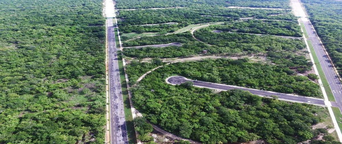Foto de terreno habitacional en venta en  , dzidzilché, mérida, yucatán, 30231349 No. 03