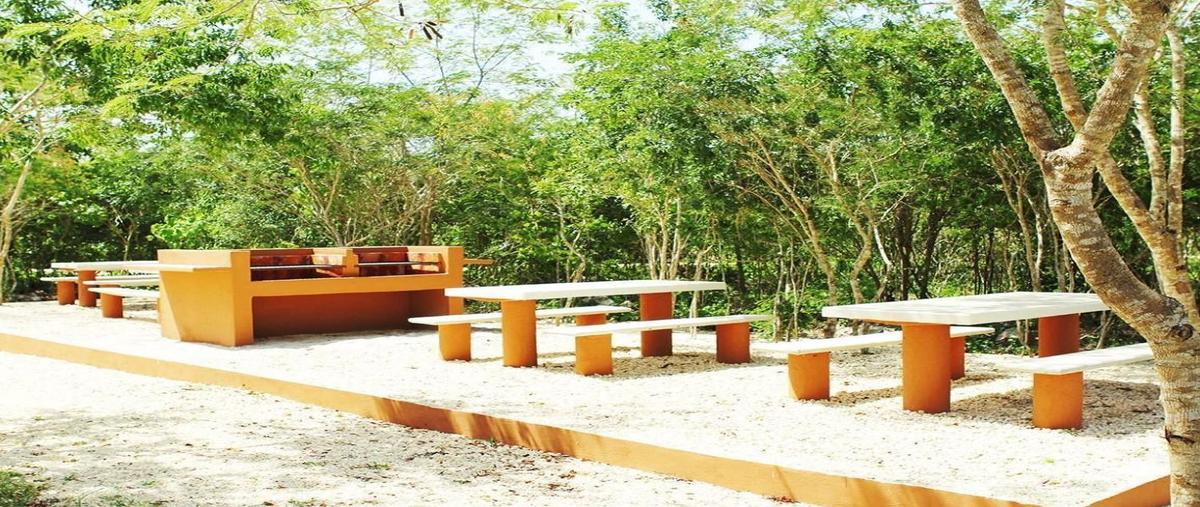 Foto de terreno habitacional en venta en  , dzidzilché, mérida, yucatán, 30231349 No. 05