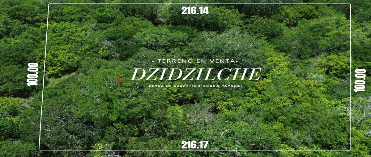 Foto de terreno habitacional en venta en  , dzidzilché, mérida, yucatán, 0 No. 01