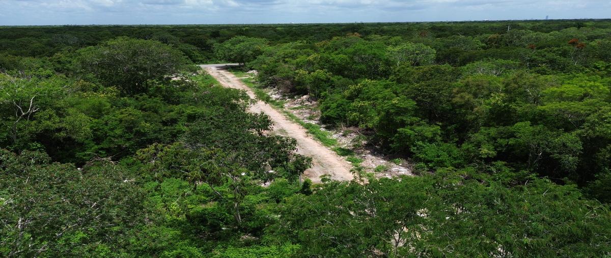 Foto de terreno habitacional en venta en  , dzidzilché, mérida, yucatán, 0 No. 05