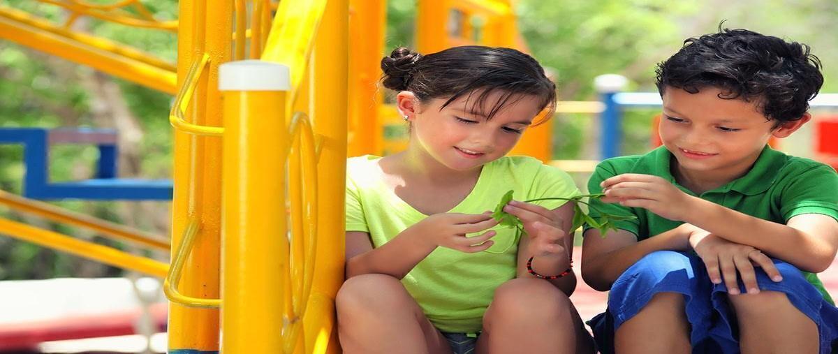 Foto de terreno habitacional en , dzidzilché, mérida, yucatán, 0 foto 04 Foto de terreno habitacional en venta en , dzidzilché, mérida, yucatán, 0 No. 04