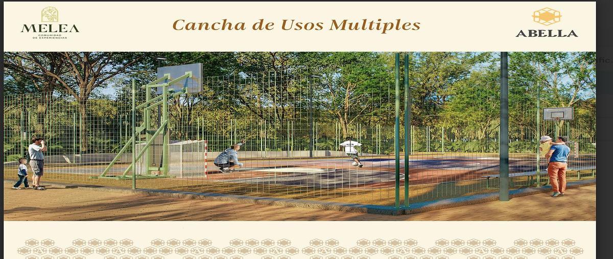 Foto de terreno habitacional en venta en  , dzidzilché, mérida, yucatán, 0 No. 04