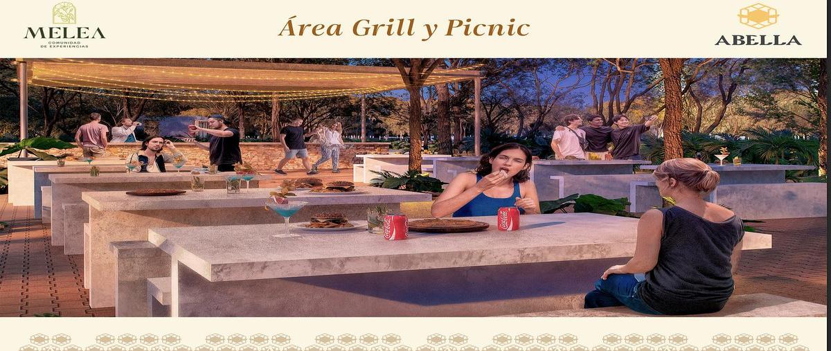 Foto de terreno habitacional en venta en  , dzidzilché, mérida, yucatán, 0 No. 05