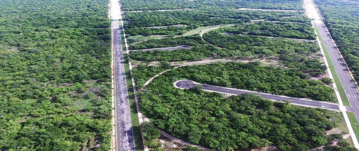 Foto de terreno habitacional en venta en  , dzidzilché, mérida, yucatán, 0 No. 05